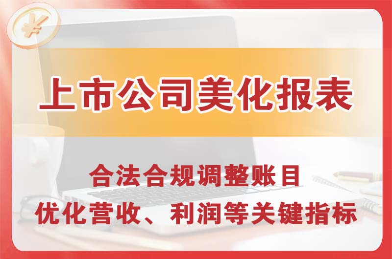 讷河上市公司美化报表